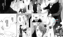 神田猫漫画,治愈心灵的喵星人日常